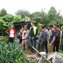 Learning about container gardening at Oakeover Community Gardens