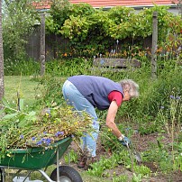 Area where we would like to make another raised bed in with to bring on vegetable seedlings.